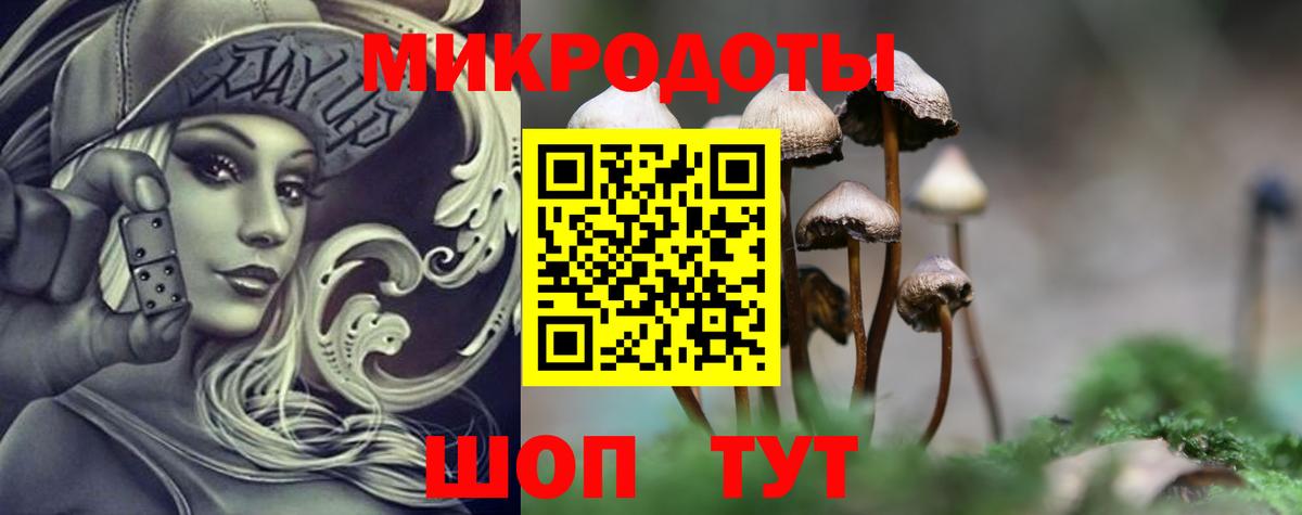 Галлюциногенные грибы GOLDEN TEACHER Шелехов